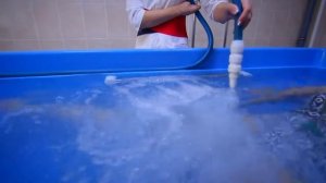 Программы лечения суставов  реабилитация в санатории