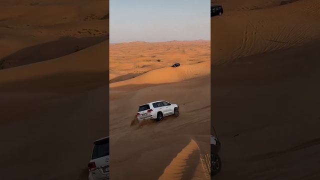 Desert Drive смотреть онлайн