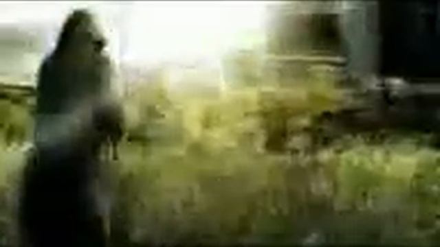 Russkie.Stalker. смотреть онлайн