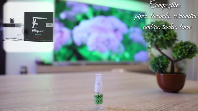 Salvatore Ferragamo F Black (Ro)