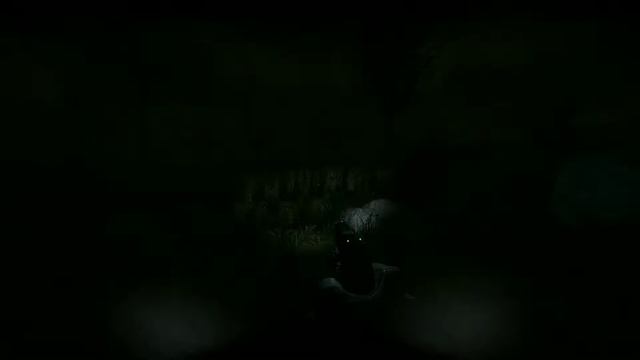 The Stalker Anomaly Great Swamps Experience смотреть онлайн