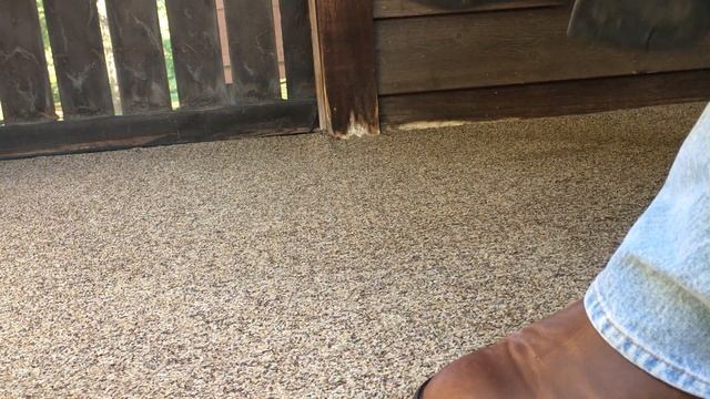 Ariat Roper vs Rambler Comparison Video смотреть онлайн