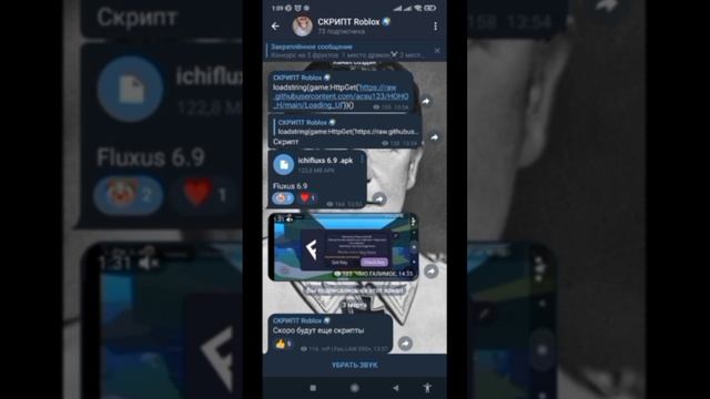 Как скачать скрипт блокс фрукт на телефон? ПОЛНЫЙ ТУТОРИАЛ