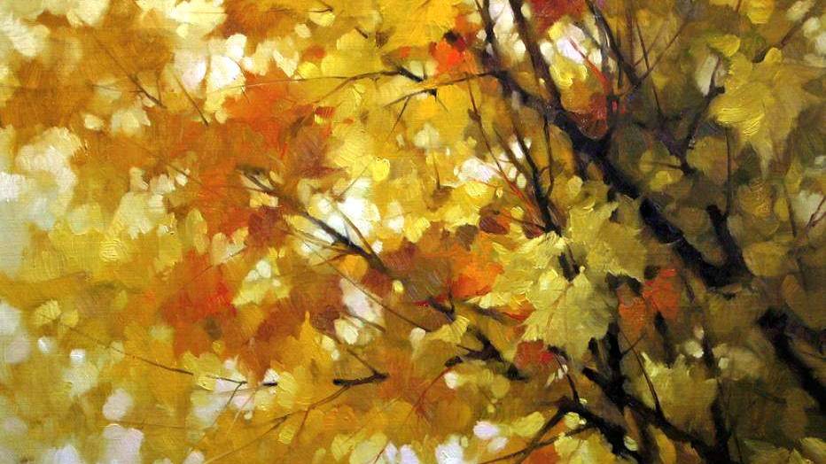 Золотая осень в парке А. К. Толстого смотреть онлайн