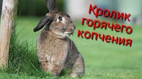 Вятские коптильни, копчение!