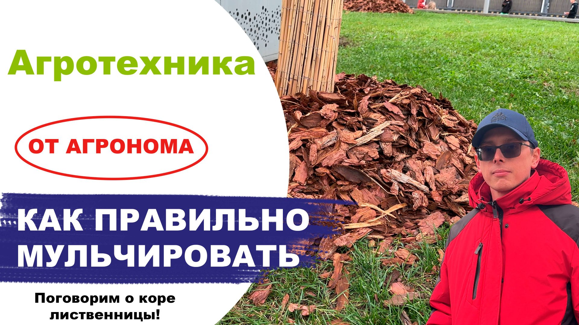 Правильное мульчирование растений корой лиственницы смотреть онлайн