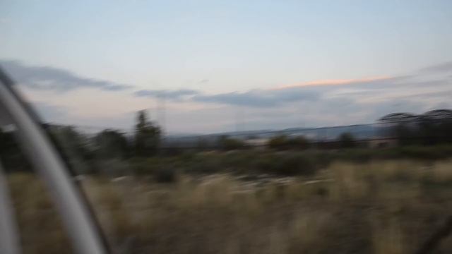 Кто царь зверей в Саванне ? смотреть онлайн