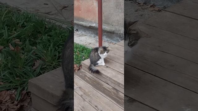 Ещё одна встреча