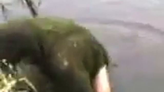 Болотный человек смотреть онлайн