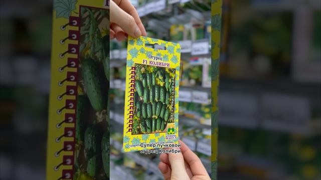 Топ-6 огурчиков для выращивания на подоконнике