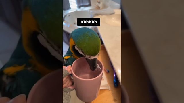 вкусно смотреть онлайн