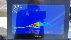 Монитор для LiveScp Panoptix GPSMAP 8612 XSV