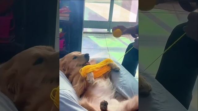 у бабушки смотреть онлайн