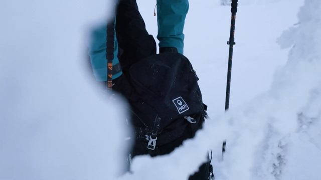 Halti Alpine Unisex 3L DrymaxX смотреть онлайн
