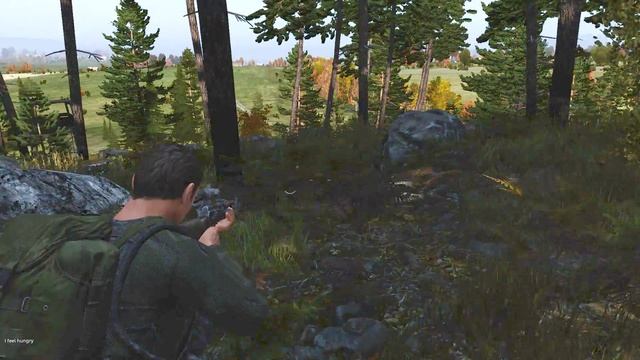 DayZ - 4 - Босяк смотреть онлайн