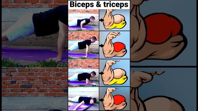 🔥4 Body Weight Arm Exercises☝️. #armsworkoutathome #bicepsworkoutexercise #tricepsworkoutathome смотреть онлайн