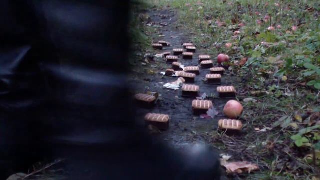 Alisa's exclusive Crush Fetish. cookies crushing. Crush Fetish in Loriblu leather Boots. Part.1 смотреть онлайн