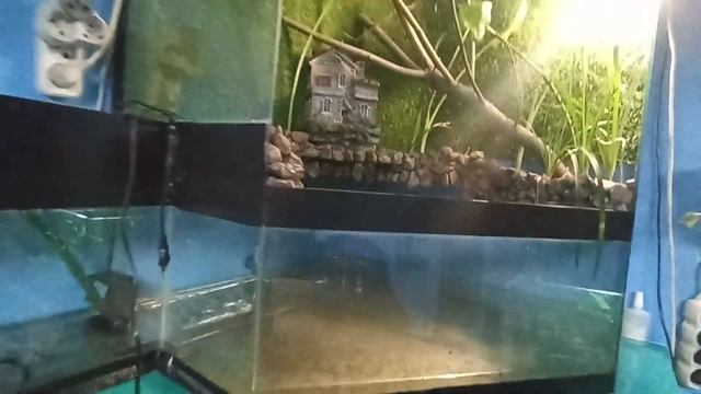 первая проблема почти за пять месяцев смотреть онлайн