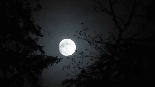 Japan's Dark Secret | The Disturbing Case Of Satoshi Uematsu | Sagamihara Massacre смотреть онлайн