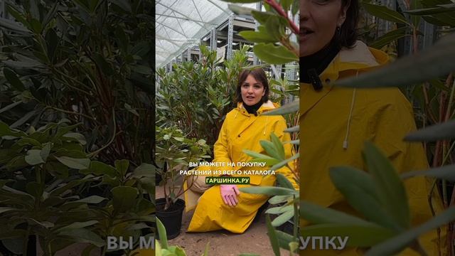 Дарим 5000 бонусов на ваши покупки🎁