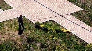 1.06.2022 г. Полив этой аллеи за счёт жильцов.