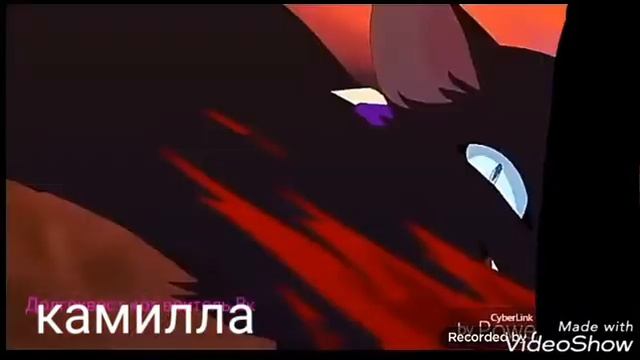 Коты воители (герой, Skilet) смотреть онлайн