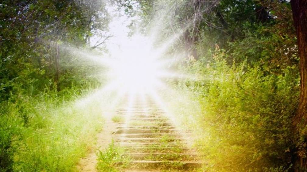 ⲇⲟⲣⲟⲅⲁ ⲕ ⲥⲃⲉⲧⲩ ~432 ⲅц~ⲙⲉⲇυⲧⲁцυя смотреть онлайн