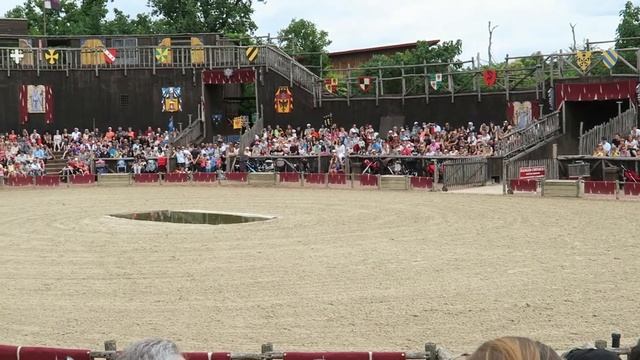 Birds of Prey show - Zoo d'Amnéville: 02-08-2017 смотреть онлайн