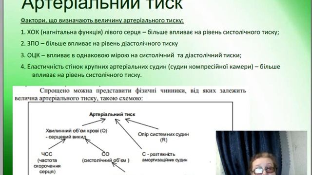 фізіологія-л2.1 - ccc смотреть онлайн