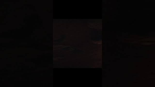 Чота на Хеллоуин:3ПРО ШАУРМУ РОФЛ!!!