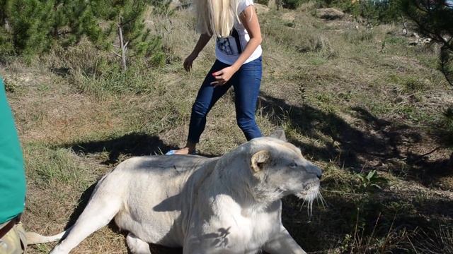 Герда ревнует Олега Алексеевича к Лоле ! 'Мне бояться или нет ?' смотреть онлайн