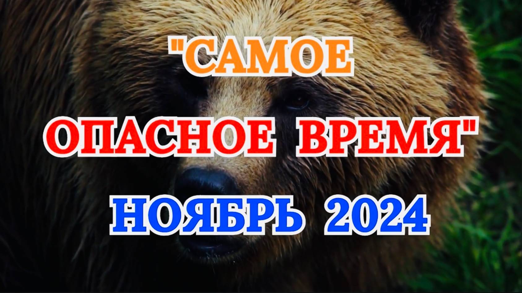 "САМОЕ ОПАСНОЕ ВРЕМЯ в НОЯБРЕ 2024 года!" смотреть онлайн