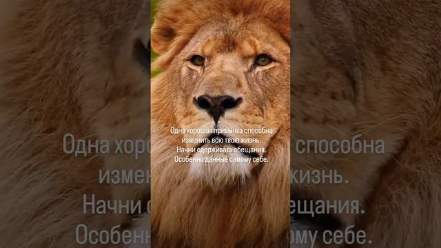 Обещания смотреть онлайн