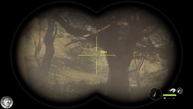 Ultimate Tip for New and Experienced Players! [theHunter: Call of the Wild 2020] смотреть онлайн