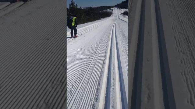 Лыжи Salomon и Тisa. Какие лучше катят на крутом спуске смотреть онлайн