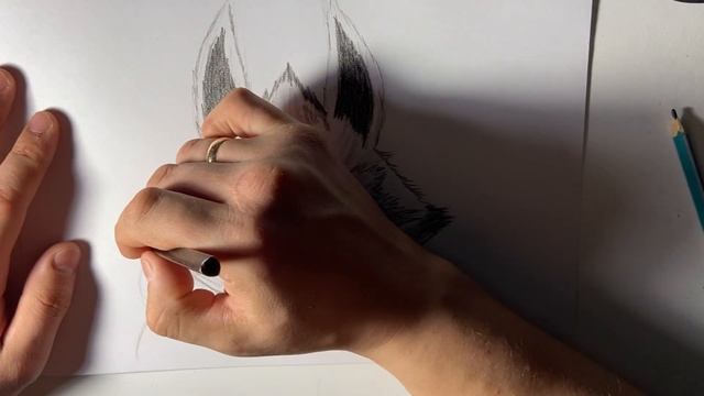 Drawing Death Wolf | Puss in Boots смотреть онлайн