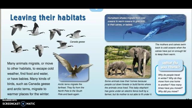 How and Why Do Animals Adapt? Read Aloud смотреть онлайн