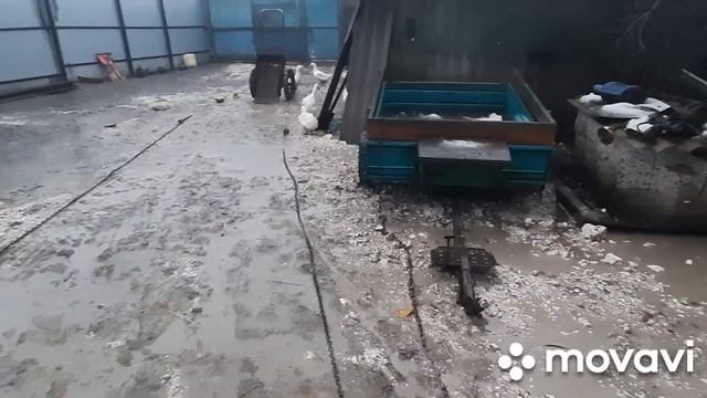 22 ноября 2022 г. смотреть онлайн