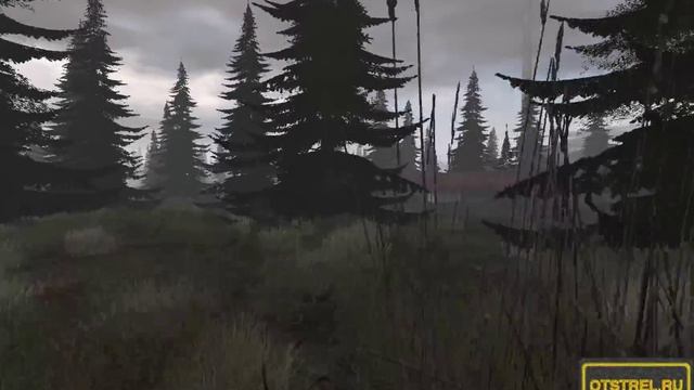 S.T.A.L.K.E.R от 03.01.2016 ArmA 2 ACE TvT смотреть онлайн