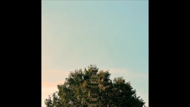 Sing, Bird of Prey - Grey Crescent смотреть онлайн