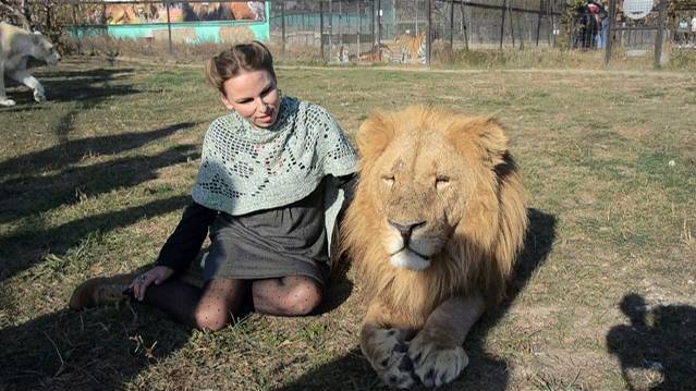 Ариолла Милодан читает стихотворение рядом со львом ! Сергей Дудченко среди десятка львов ! смотреть онлайн