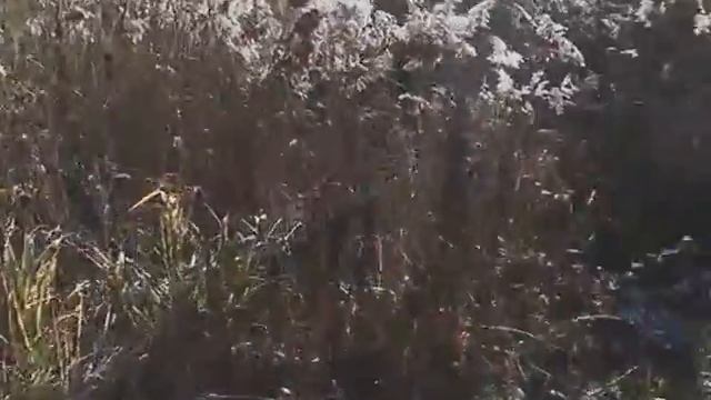 First breaking ice in my new rubber boots Verney-carron CALIPSO NEO VID 20141019 115247 смотреть онлайн