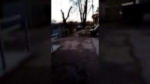 09.02.2021 г. Северская Почта. Картинка ксероксная, высший закон!??