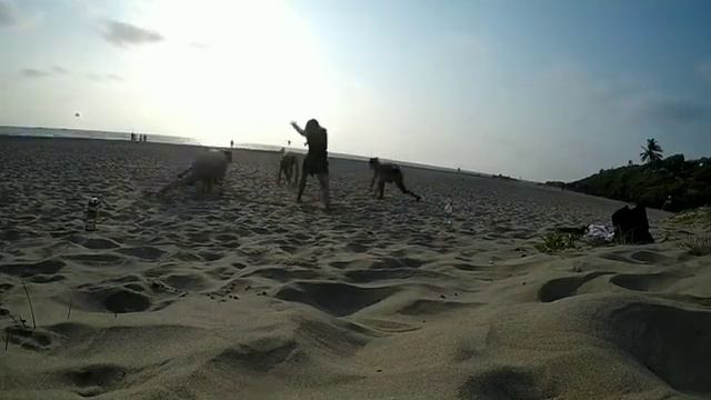 Yoga Flow in Goa смотреть онлайн