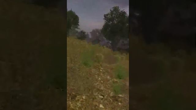 Чем вообще можно заняться в S.T.A.L.K.E.R. ТЧ? смотреть онлайн