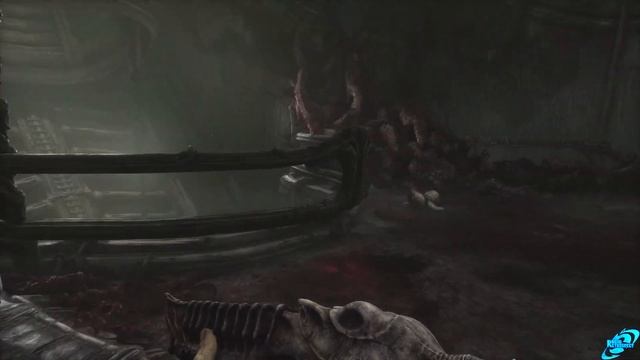 SCORN FULL GAMEPLAY Walkthrough 4K - No Commentary (#SCORN Longplay/Playthrough PC)