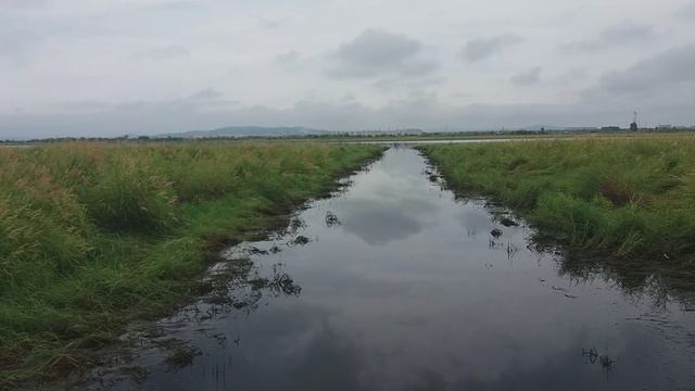 Прокоп 2019 смотреть онлайн