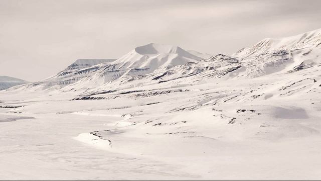 Арктический ветер смотреть онлайн