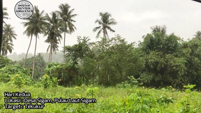 MUSIM HUJAN || BERBURU 2 HARI 2 TARGET RUAK RUAK DAN TEKUKUR || SIDEACTIONCAM GOPRO HERO 6 смотреть онлайн