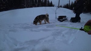 За хариусом и щукой в феврале/ 3 дня на таёжной реке
